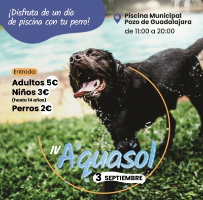 Aquasol, perros al agua